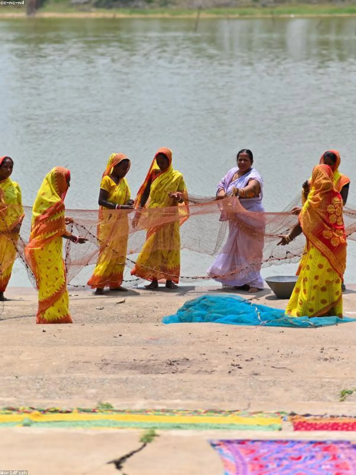 Kanjeevaram Saree in Linen — Full Drape